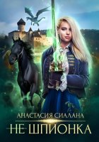 Не шпионка