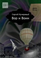 Вор и Воин. Роман квантовой реальности