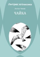 Чайка