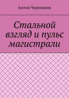 Стальной взгляд и пульс магистрали