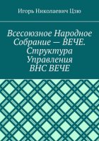 Всесоюзное народное собрание – Вече. Структура управления ВНС Вече