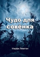 Чудо для совёнка