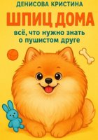 Щпиц дома. Все, что нужно знать о пушистом друге