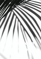 Ромашки в октябре