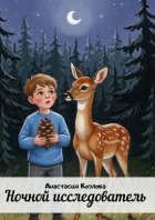 Ночной исследователь