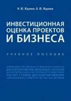 Инвестиционная оценка проектов и бизнеса