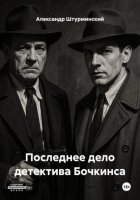 Последнее дело детектива Бочкинса