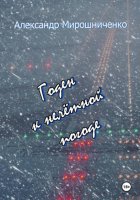 Годен к нелётной погоде