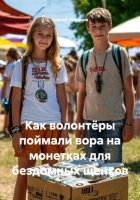 Как волонтёры поймали вора на монетках для бездомных щенков