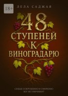 48 ступеней к Виноградарю