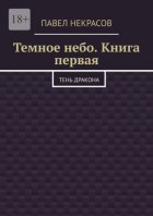 Темное небо. Книга первая. Тень дракона