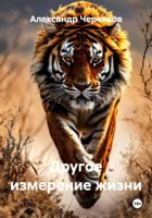 Другое измерение жизни