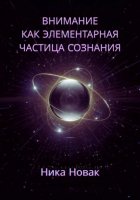 Внимание как Элементарная Частица Сознания