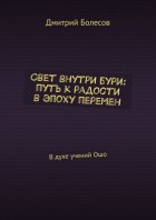 Свет внутри бури: путь к радости в эпоху перемен. В духе учений Ошо