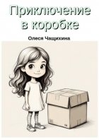 Приключение в коробке