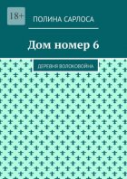 Дом номер 6. Деревня Волоковойна