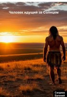 Человек идущий за Солнцем