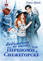 Ведьмочка по вызову, или Переполох в Снежегорске