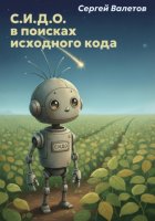 С.И.Д.О. в поисках исходного кода (часть 1)