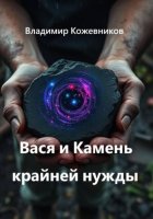 Вася и Камень крайней нужды