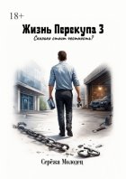 Жизнь Перекупа – 3. Сколько стоит честность?