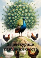 Зачем курице павлиний хвост?