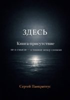 ЗДЕСЬ. Книга-Присутствие. Не о смысле – о тишине между словами