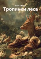 Тропинки леса