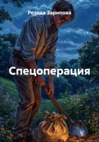 Спецоперация