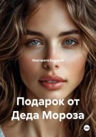 Подарок от Деда Мороза