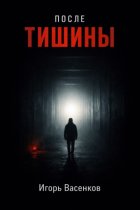 После тишины