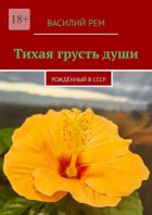 Тихая грусть души. Рождённый в СССР