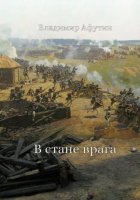 В стане врага