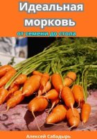 Идеальная морковь от семени до стола