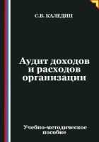 Аудит доходов и расходов организации