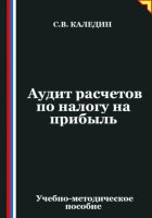 Аудит расчетов по налогу на прибыль