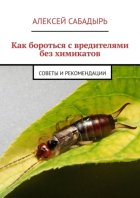 Как бороться с вредителями без химикатов. советы и рекомендации