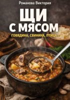 Щи с мясом: говядина, свинина, птица