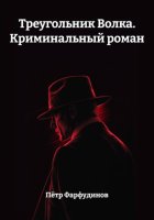 Треугольник Волка. Криминальный роман