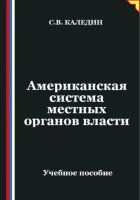 Американская система местных органов власти
