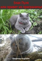 Злая Пуля или привет из приграничья