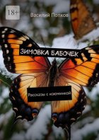 Зимовка бабочек. Рассказы с изюминкой