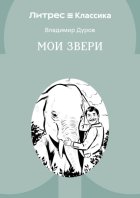 Мои звери