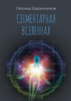 Сегментарная Вселенная