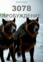 3078. Пробуждение