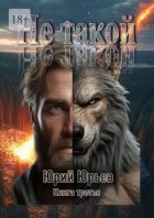 Не такой. Книга третья