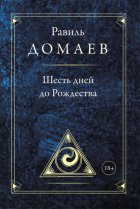 Шесть дней до Рождества