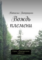 Вождь племени. Серия «Виртуальные повести»