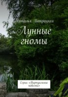 Лунные гномы. Серия «Виртуальные повести»