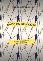 Дома мы не нужны. Книга пятая: Мир вечного лета